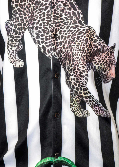 Olympus Snow Leopard Shirt