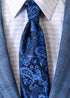 GJones Twilight Crest Tie & Pocket Square