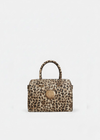 Light Leopard